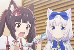 动漫猫娘,猫娘的奇幻冒险之旅