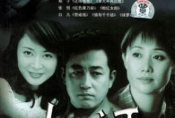 电视剧《人证》,探寻真相与正义的较量